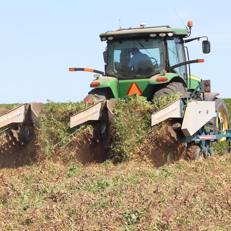 44th Annual Georgia Peanut Farm Show & Conference set for Jan. 16, 2020